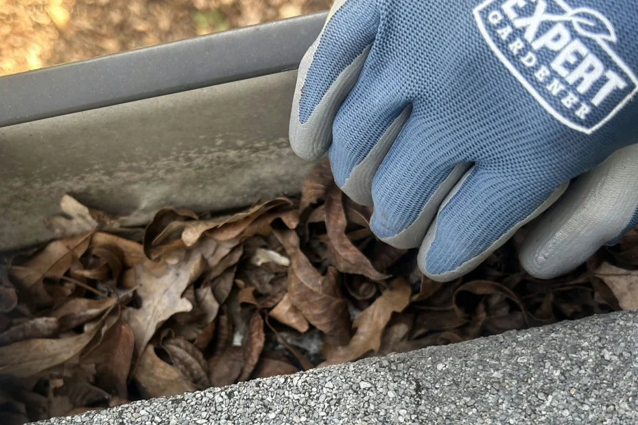 Gutter Cleaning Oakhurst